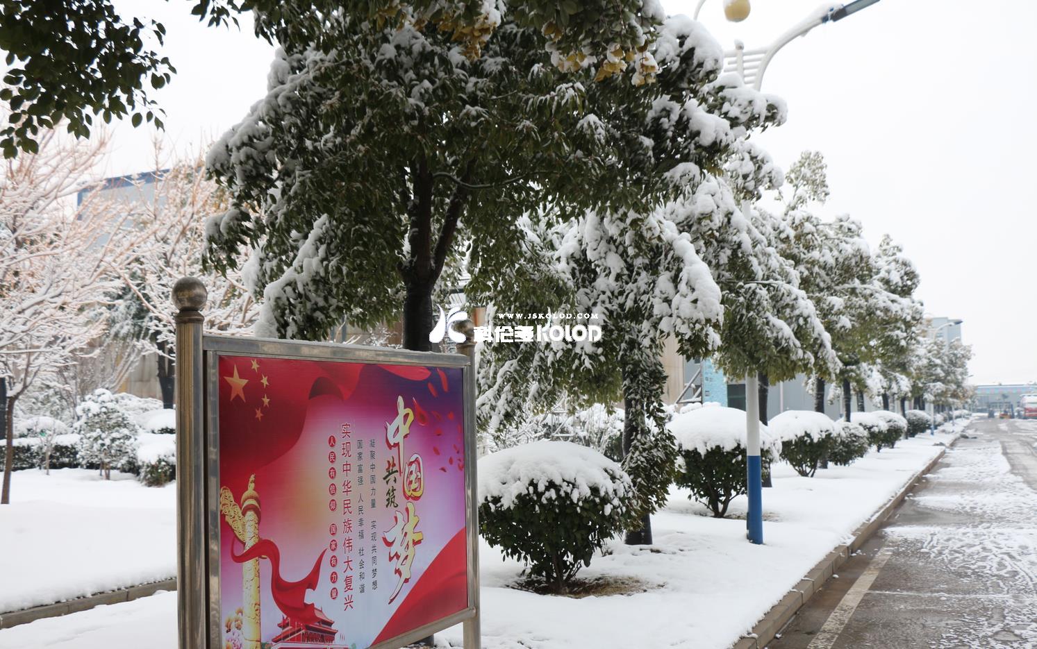 銀裝素裹的科倫多