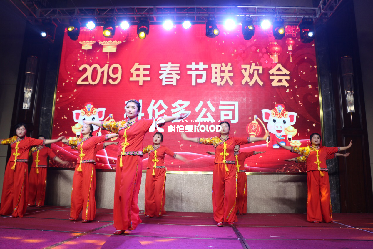 凱歌高奏辭舊歲，豪情滿(mǎn)懷迎新年 （科倫多隆重舉行2019春節聯(lián)歡晚會(huì )）