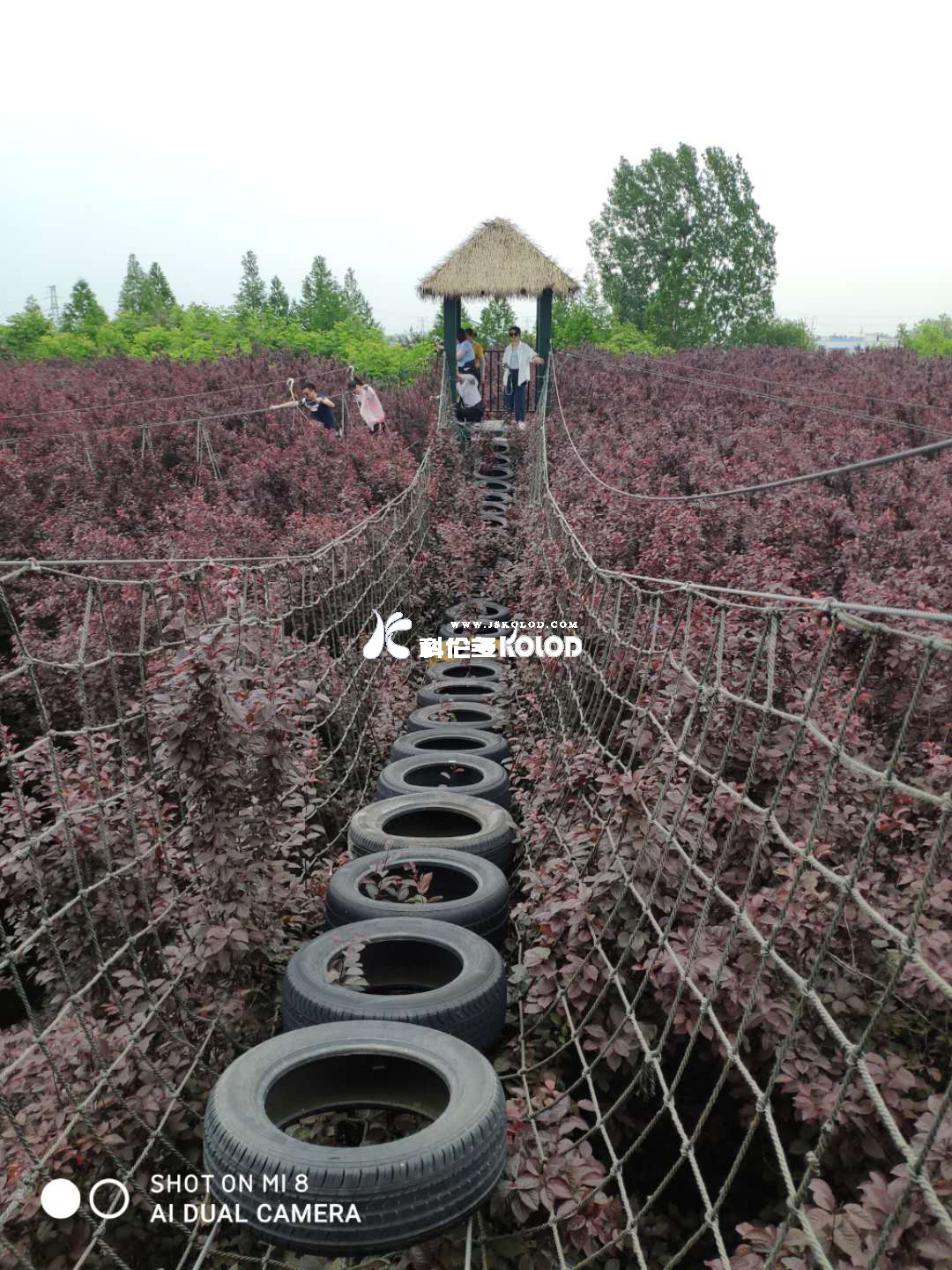 追求卓越團隊、鑄造優(yōu)秀團隊、共創(chuàng  )企業(yè)輝煌 （江蘇科倫多赴兆隆林海灣叢林樂(lè )園開(kāi)展團建活動(dòng)）